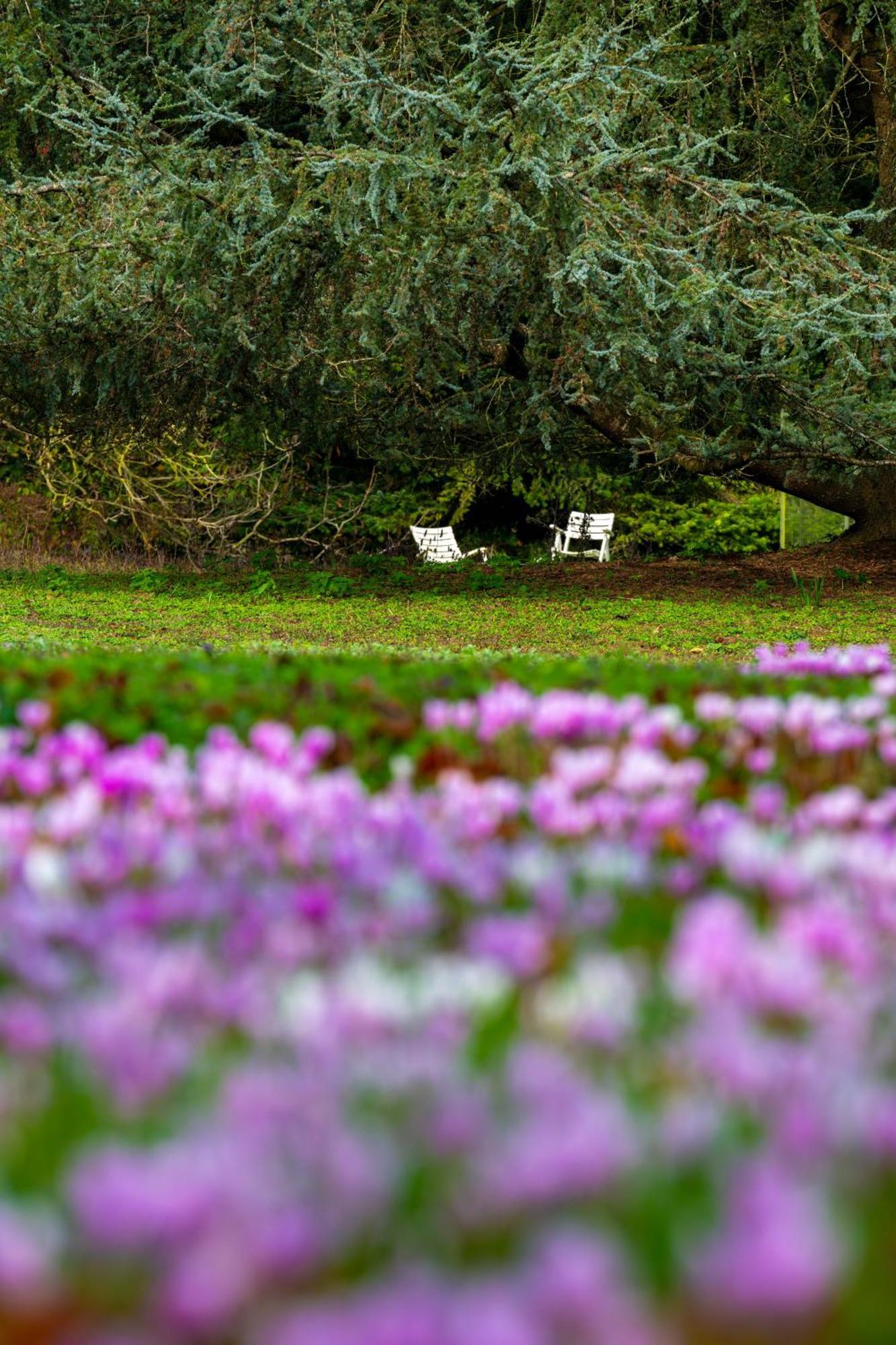 Relais Du Bois Saint Georges - Hotel De Charme แซ็งต์ ภายนอก รูปภาพ